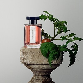 Vetiver Ecarlate - Eau de Cologne